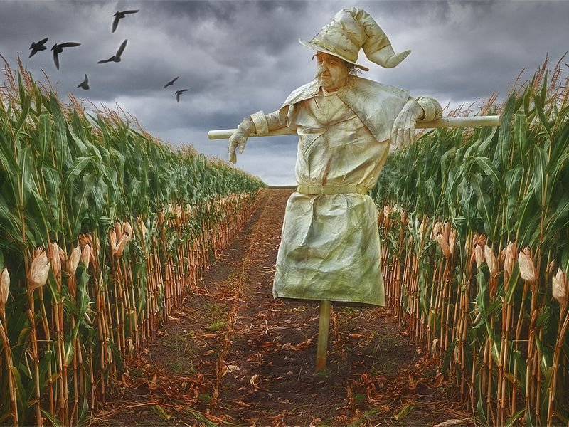 Your US STRAWMAN
